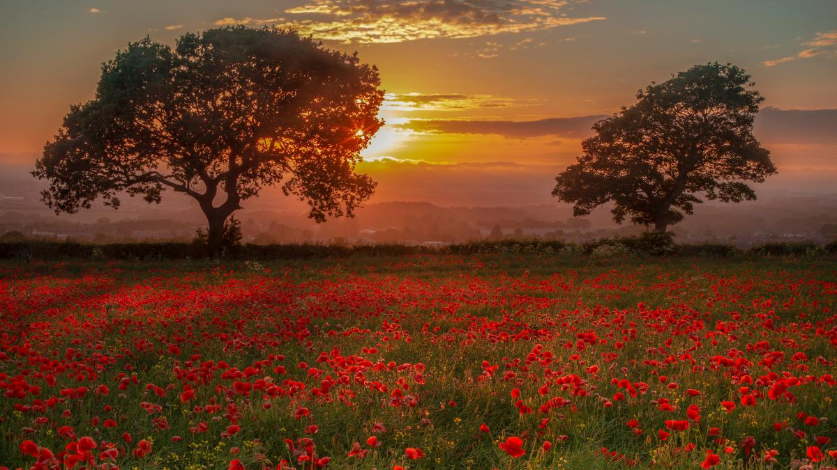 judetul-tulcea_77857000