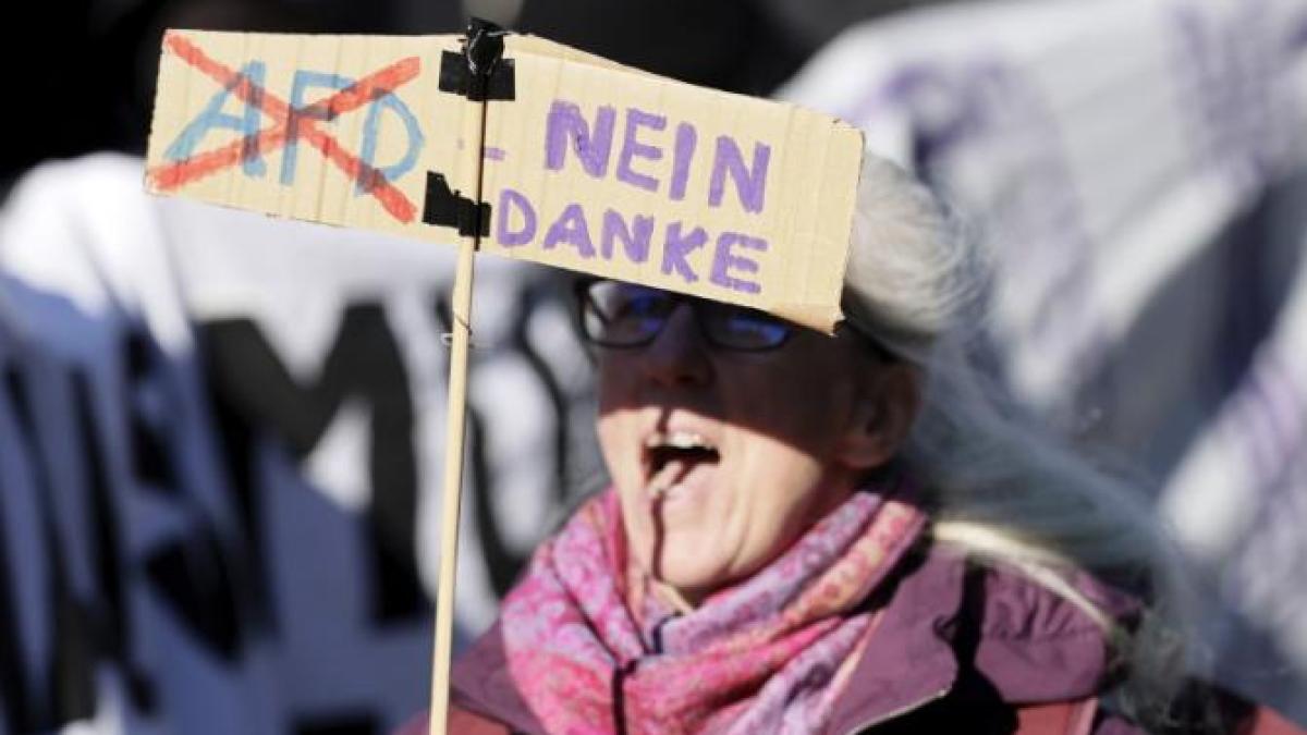 proteste-germania-afd2_97304400