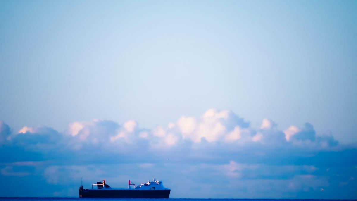 flota-fantoma_29618500