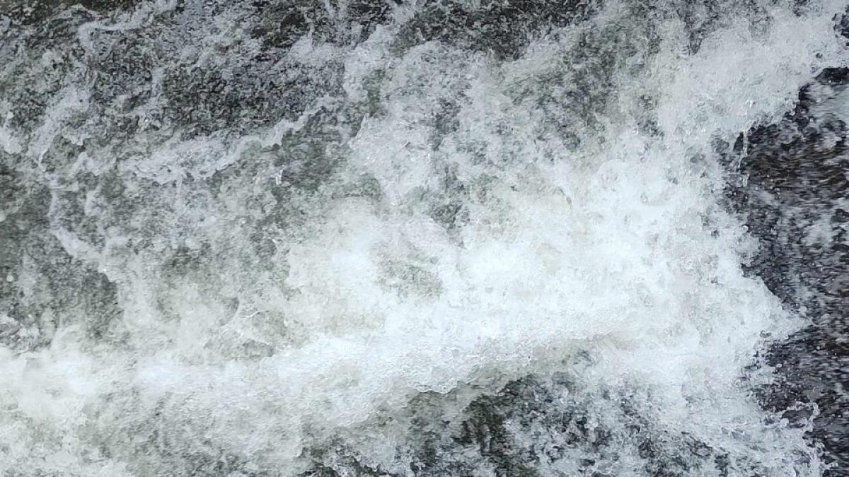 cod-galben-de-inundatii-in-patru-judete--pana-joi_63169000