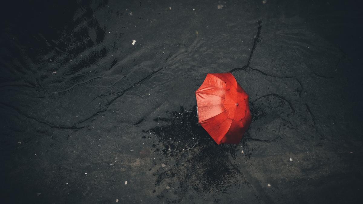 primavara-ploaie-elena-mateescu_96419000