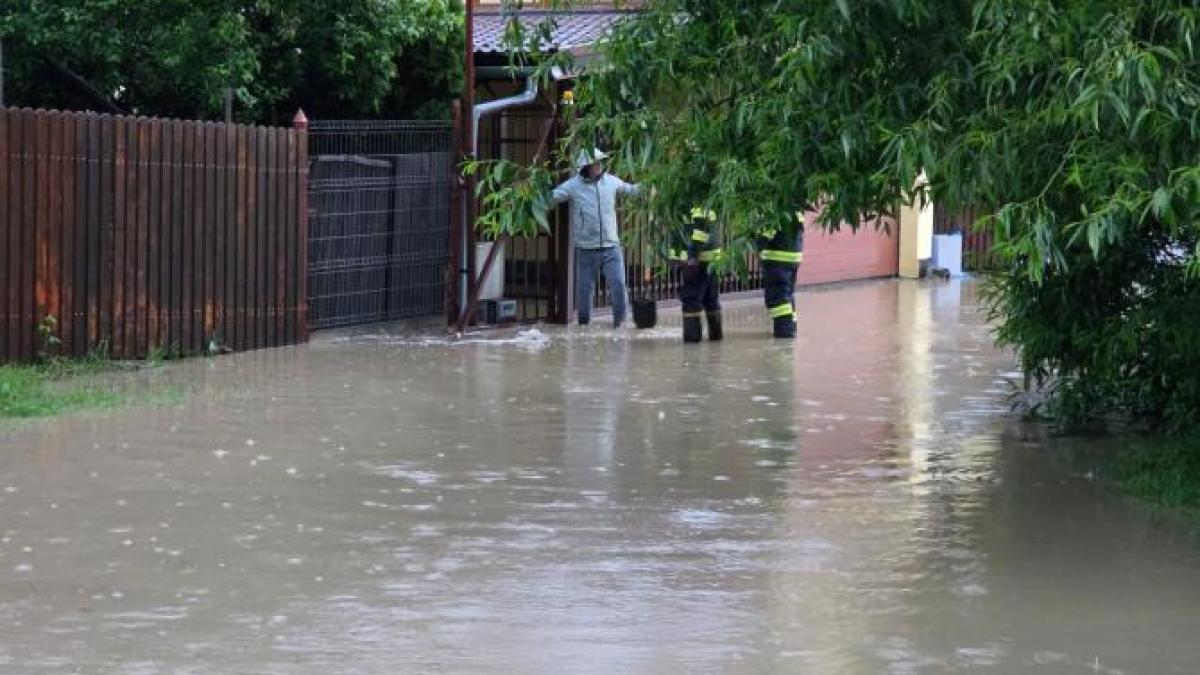 whatsapp-image-2025-05-27-at-13-15-36-1_29665900