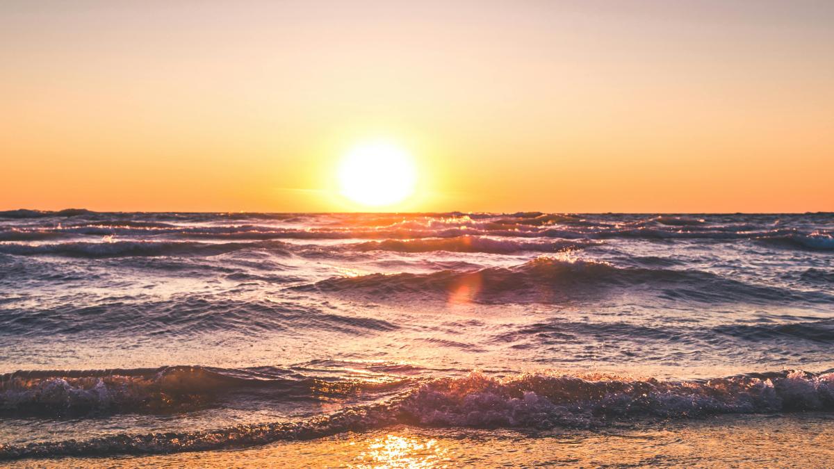 pexels-trupert-1032650_61933400