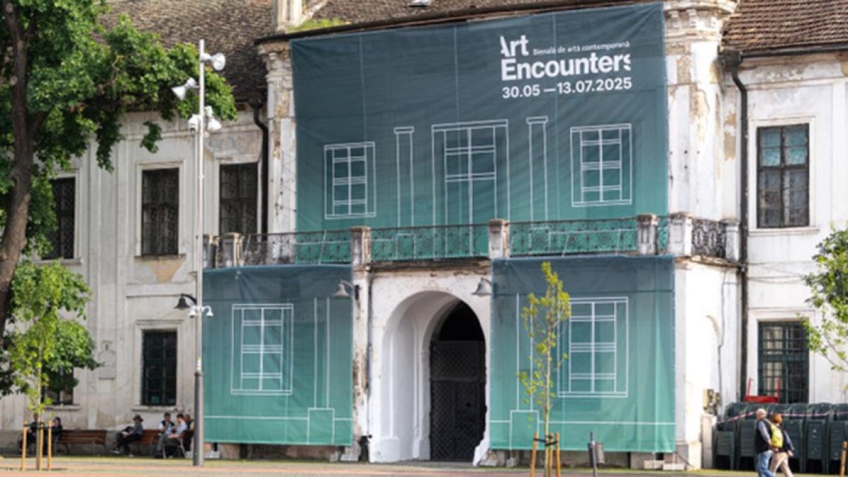 art-encounters-timisoara_28258700