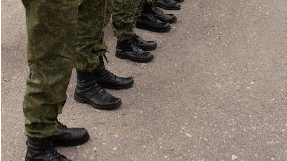 armata-mapn-precizari_68616500