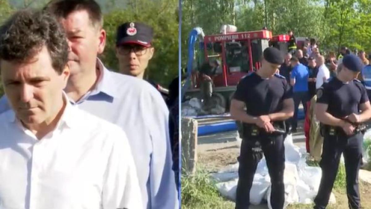 nicusor-dan_71596500