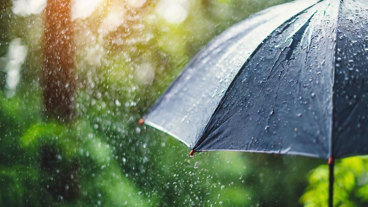 umbrella-torrential-rain-symbolizing-resilience-protection-adverse-conditions-dramati_28028100