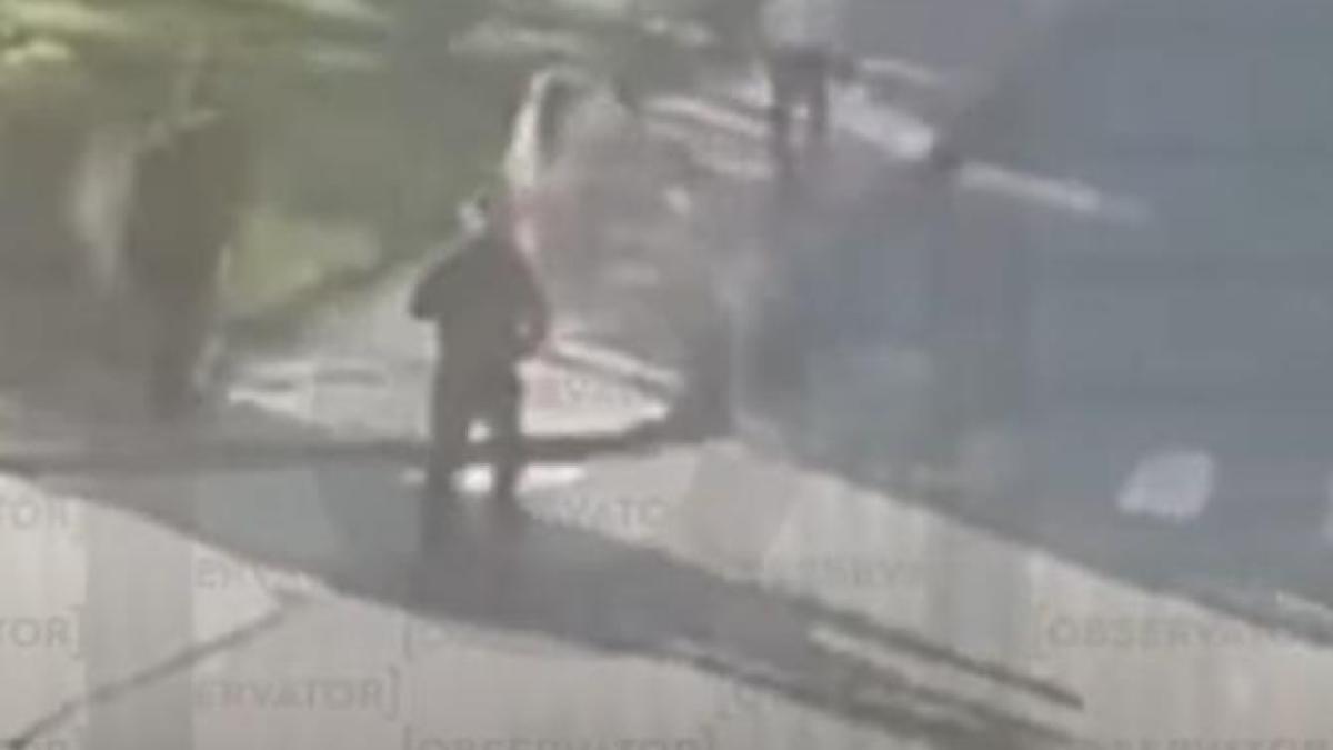 teodora-marcu_70280700