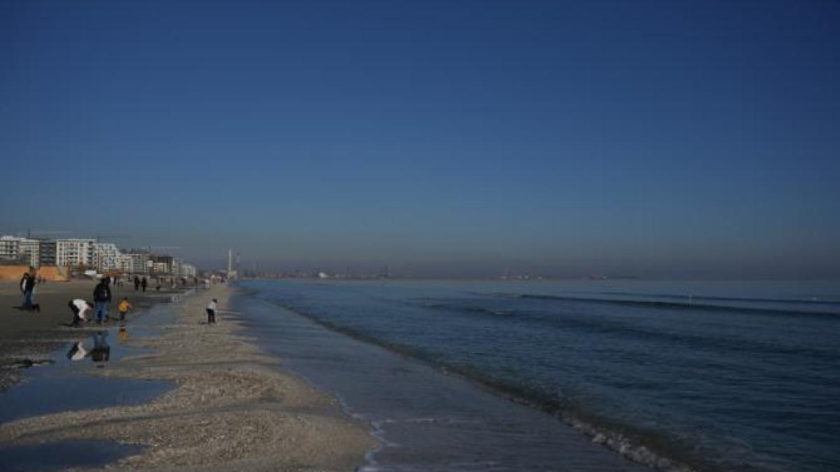 plaja-mamaia-litoral-romania_43864300