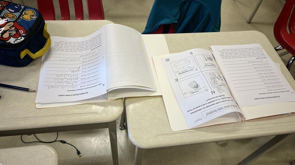 scoala-romaneasca-toronto---reportaj-partea-1---main_18384400