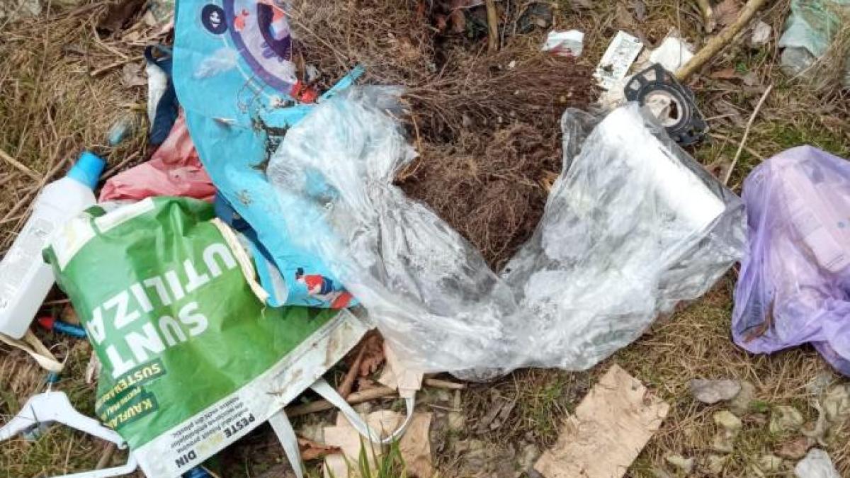 bran-gunoaie-4_63532400