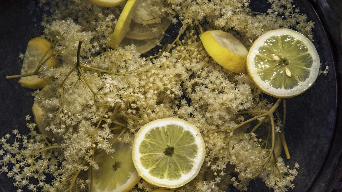 flori-de-soc-retete_14504300