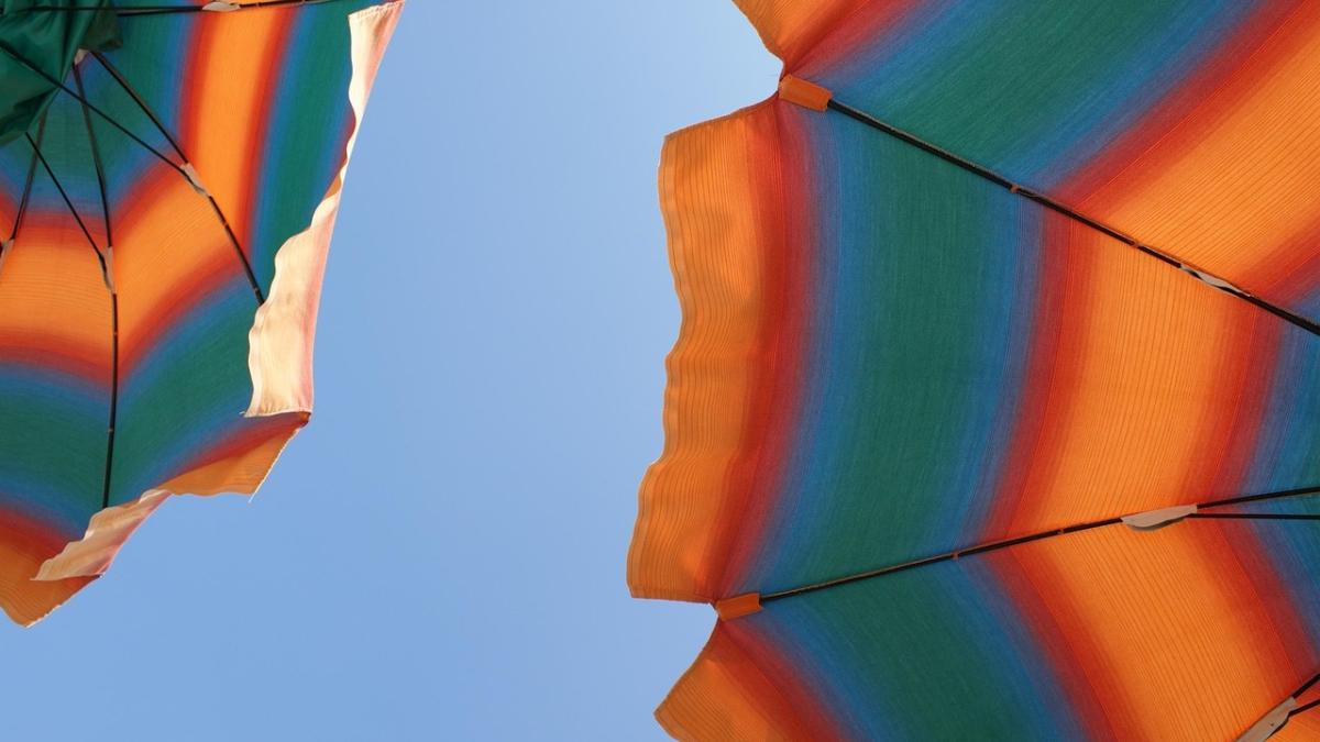 canicula-tudor-ciuhodaru_30811500