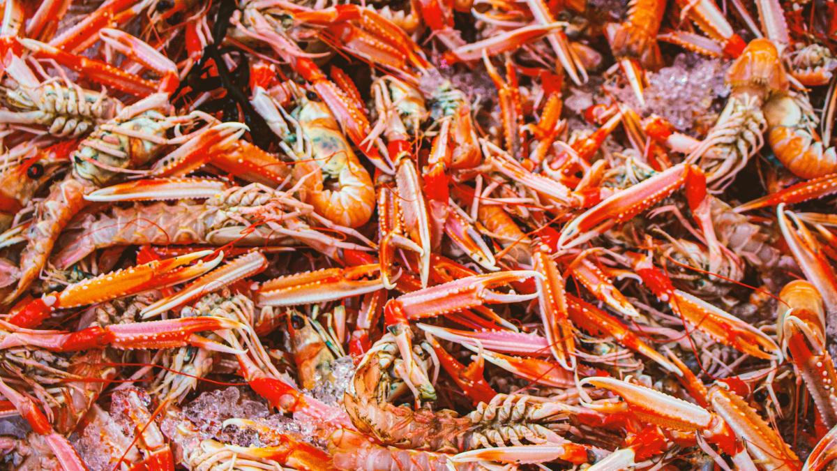 pexels-nomadino-8262754_10348900