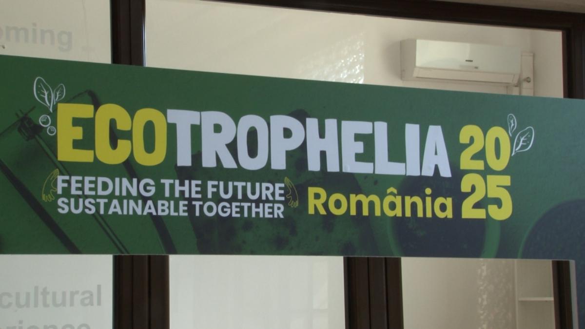 surpriza-farfurie_07725500