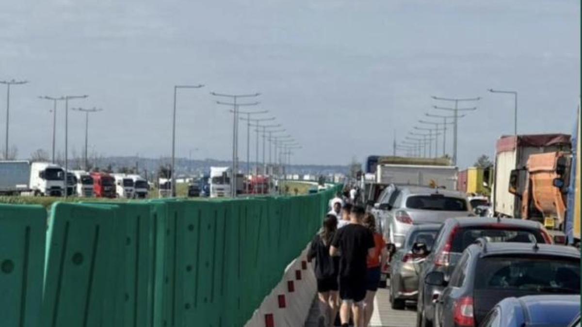 vama-asteptare_36291700