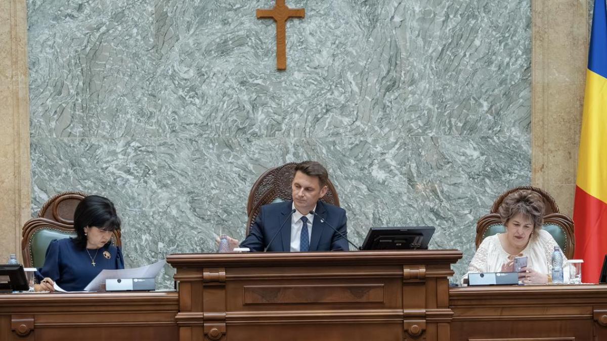 abrudean-sursa-foto-pnl_93177100