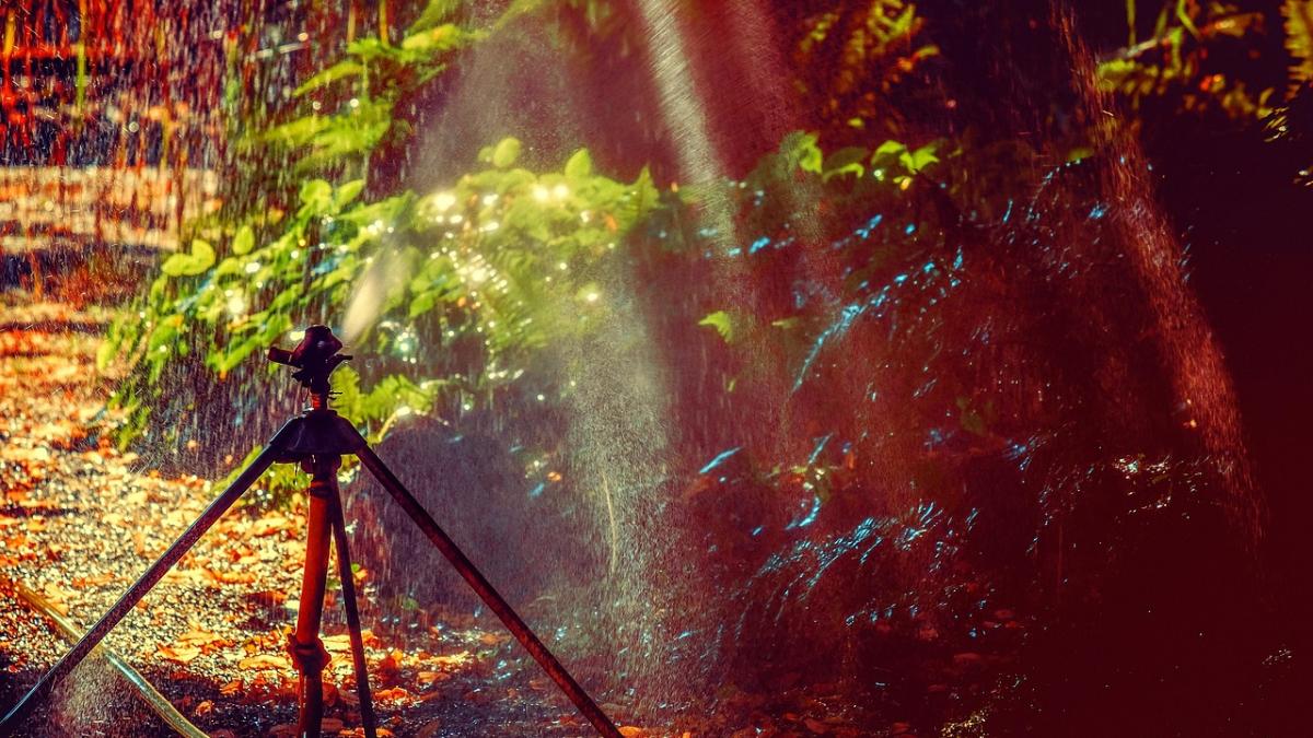 canicula-mateescu_61091900