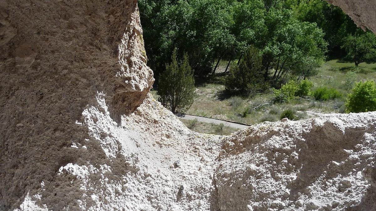 padure-antica-insula_96544300