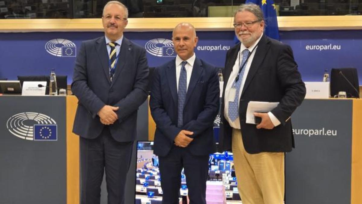 vasile-dincu-ales-vicepresedinte-al-delegatiei-parlamentului-european-la-adunarea-parlamentara-nato_15634900