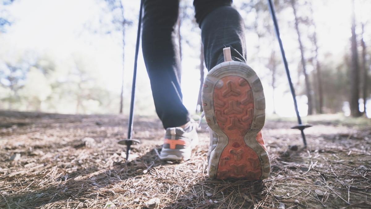 nordic-walk-mers_42894600