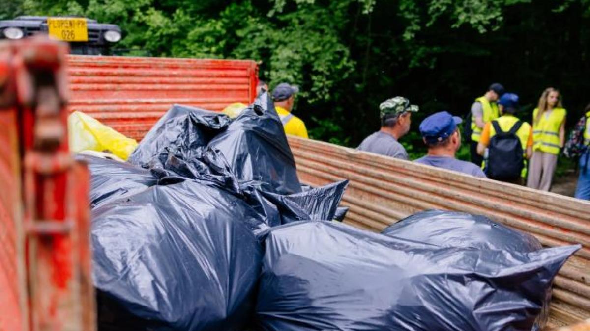 bat-romania3_71451800