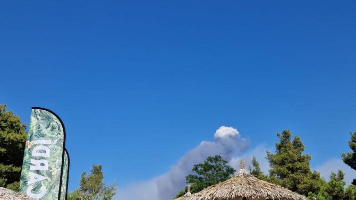 whatsapp-image-2025-07-02-at-16-35-30_95304500