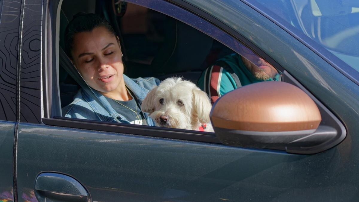 pasageri-masina-titi-aur_72908500