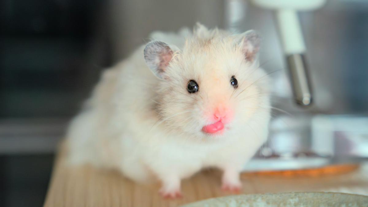 zhaoli-jin-avmb4zt0ly0-unsplash_54068000