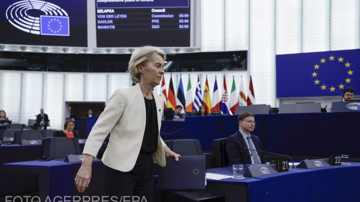 parelamentul-european-geogiana-teodorescu_92964500