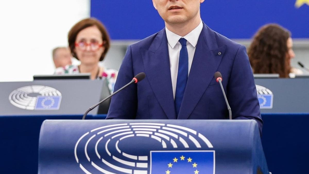 victor-negrescu_71095400