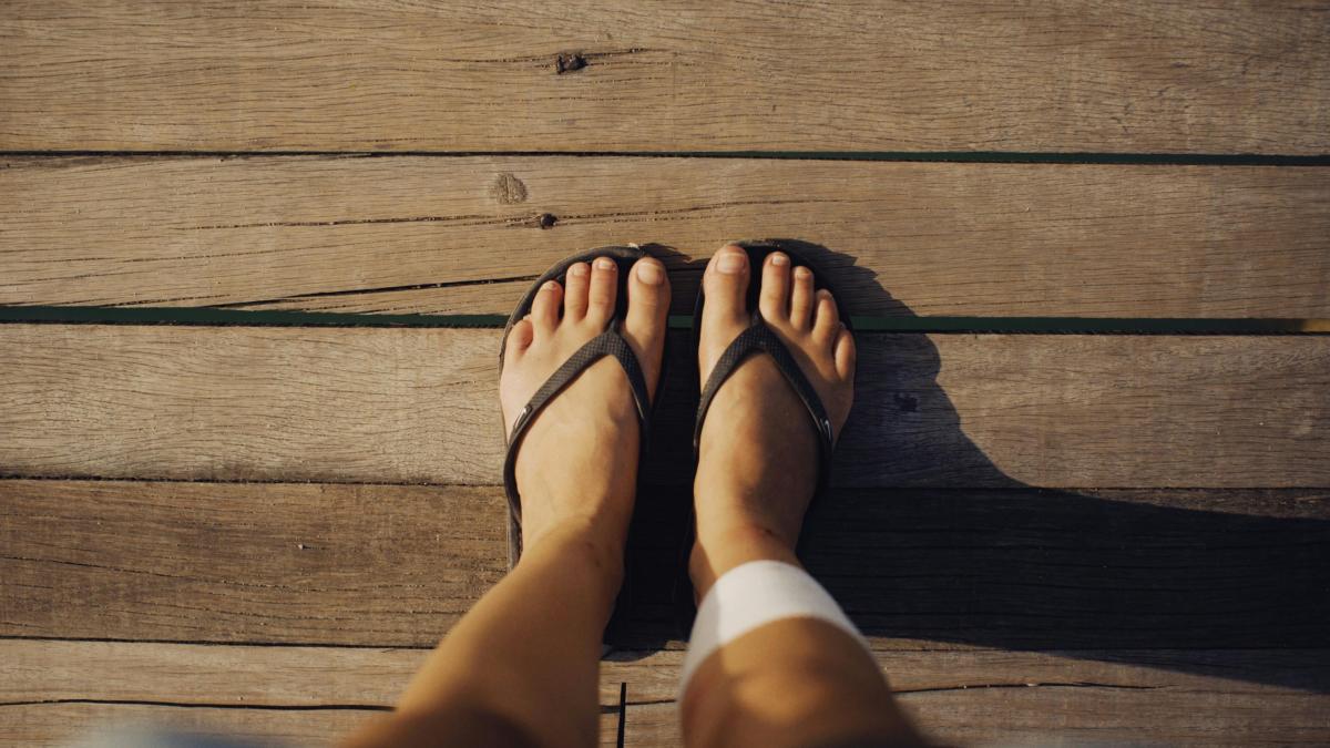 slapi---pexels-alexeydemidov-9582671_90653200