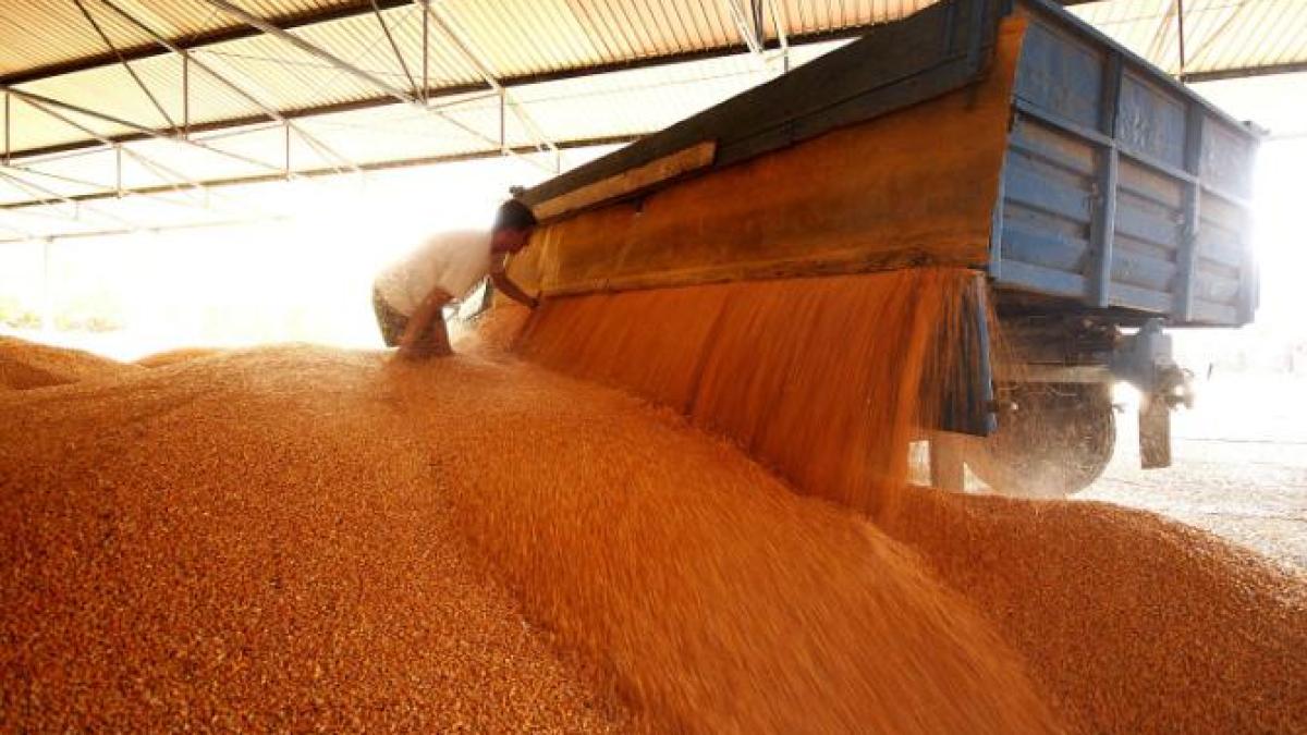 siloz-cereale_80147200