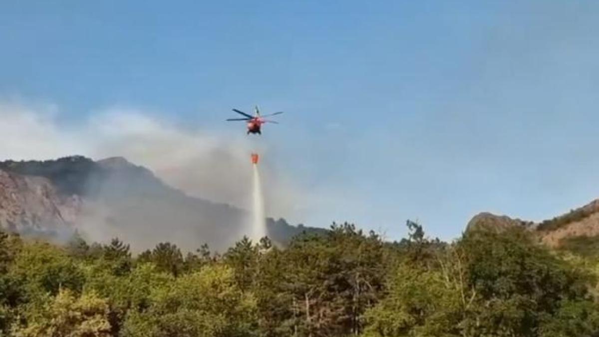 incendiu-tulcea_81290700