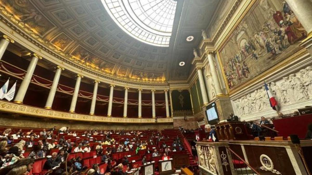 whatsapp-image-2025-07-15-at-21-56-27_23284800