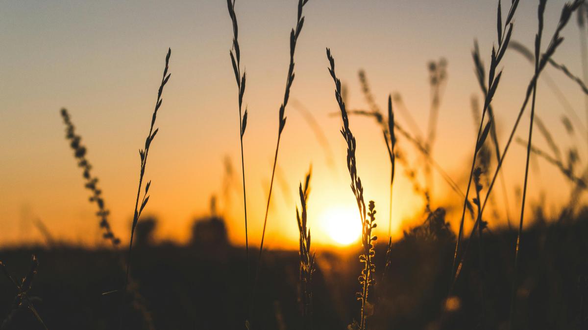 claca-la-secerat_48398200