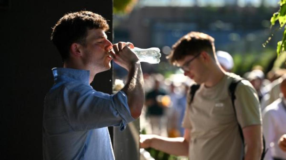 canicula-cald-soare-temperaturi-1_74184600