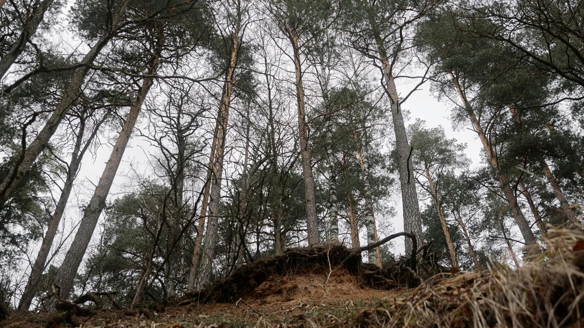 alunecare-de-teren_40908100