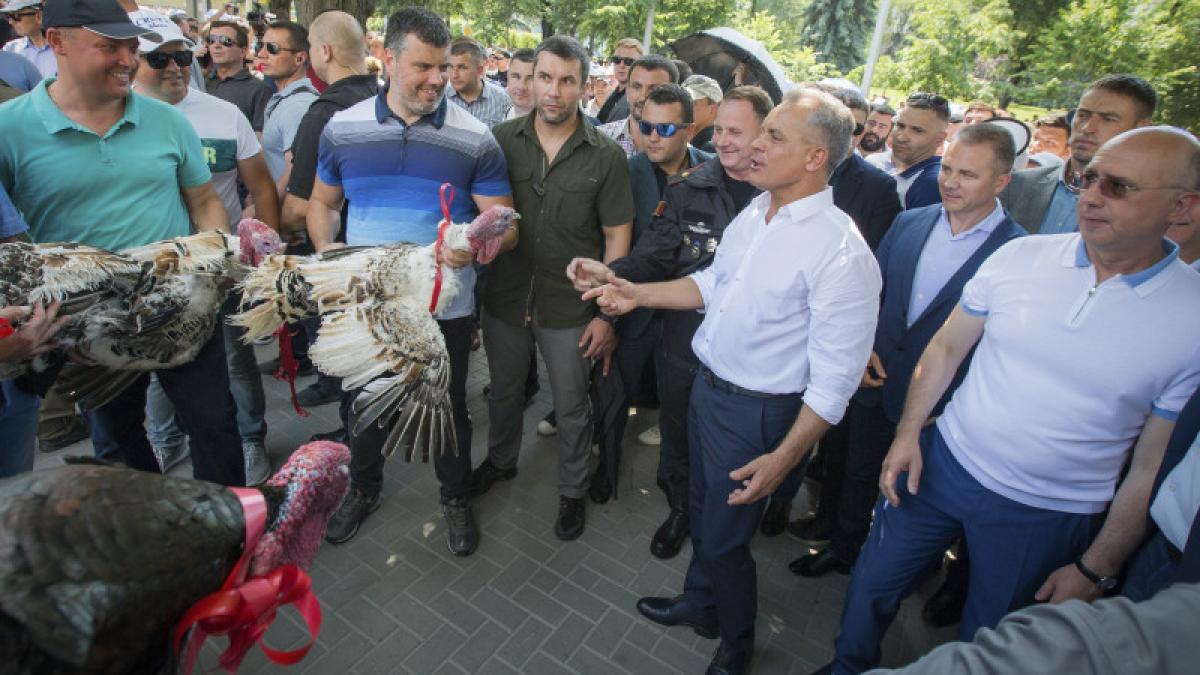 plahotniuc-moldova_32979000