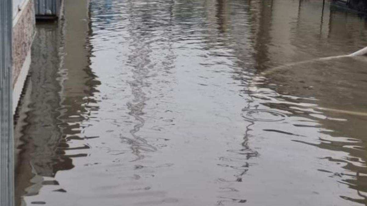 furtuna-isu-suceava_62017200