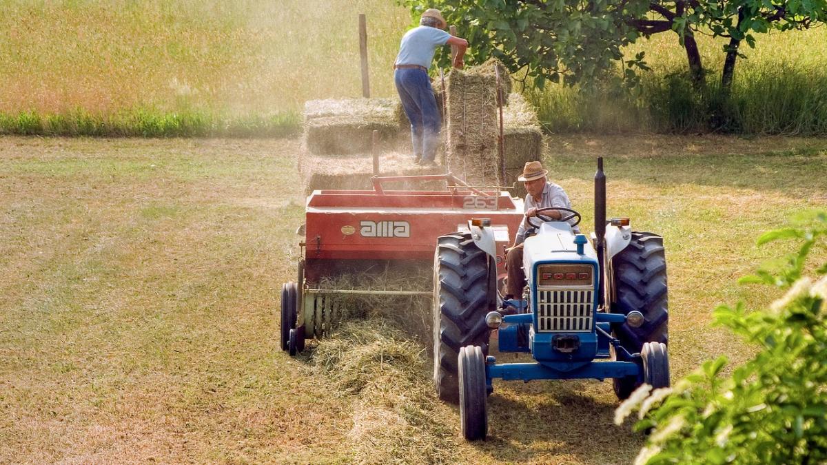 fermieri-romani_18237800