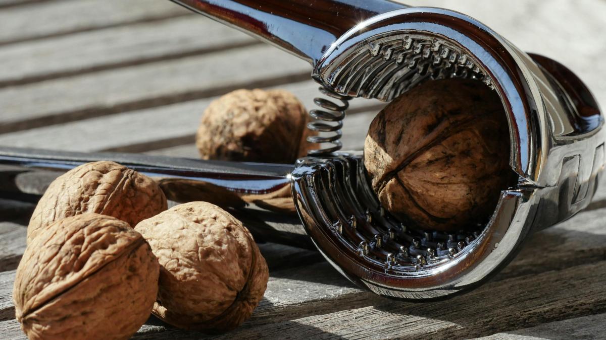 nuci-pexels-pixabay-372842_84428700