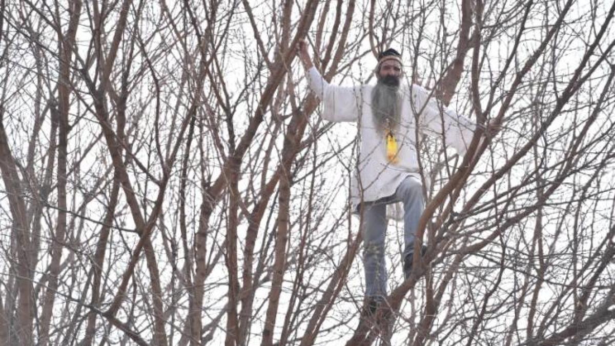 stegarul-dac_50153400