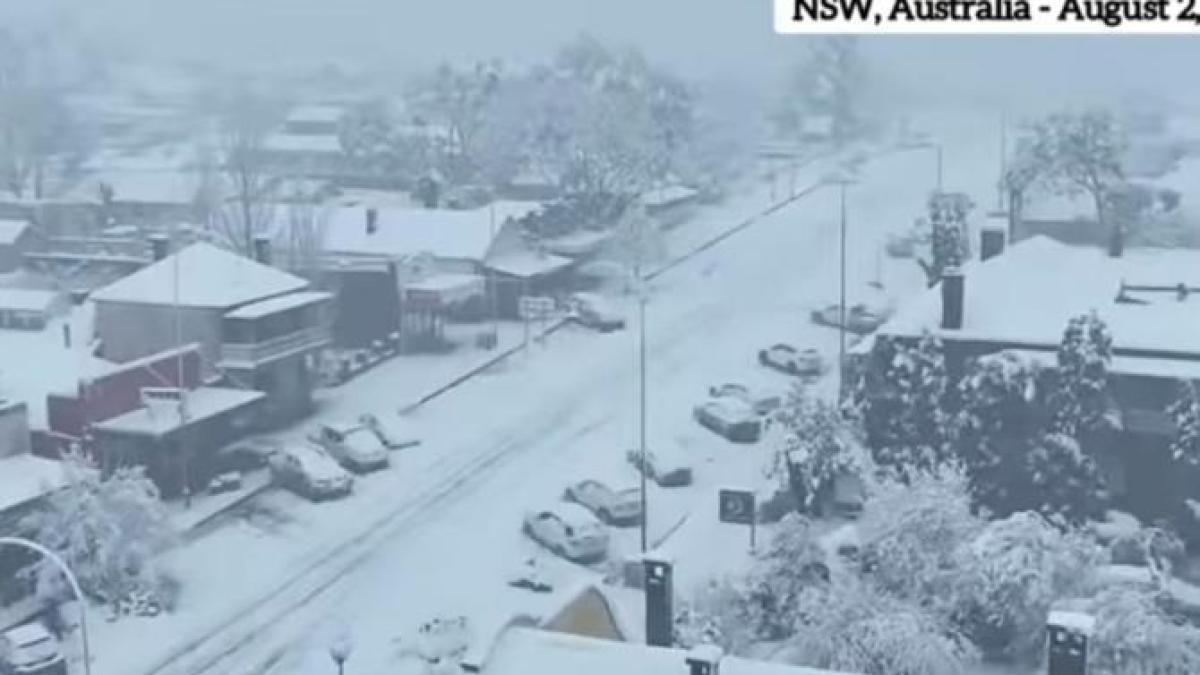 ninsoare-australia_73115500