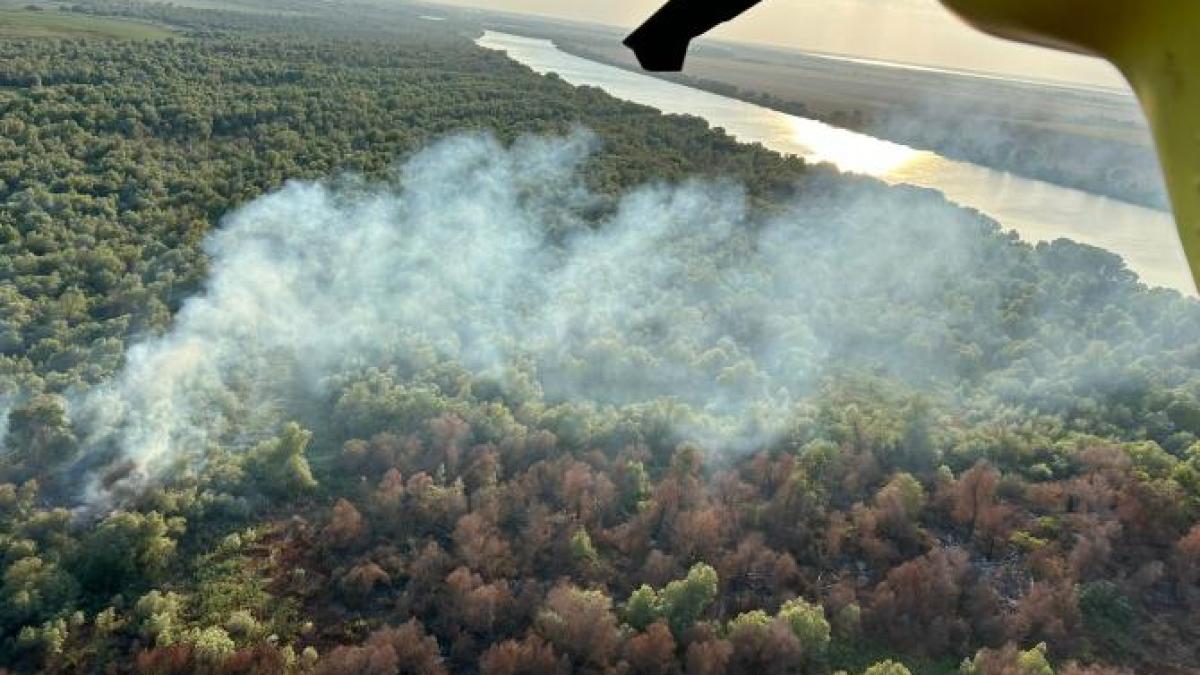 incendiu-vegetatie-chilia_09357800