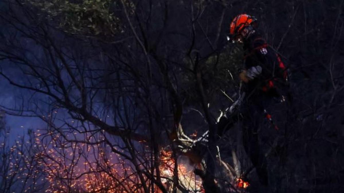 incendiu-franta_26527800