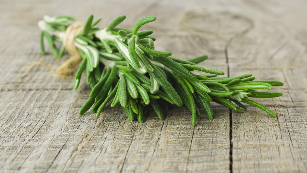 rosemary-rozmarin_54048900