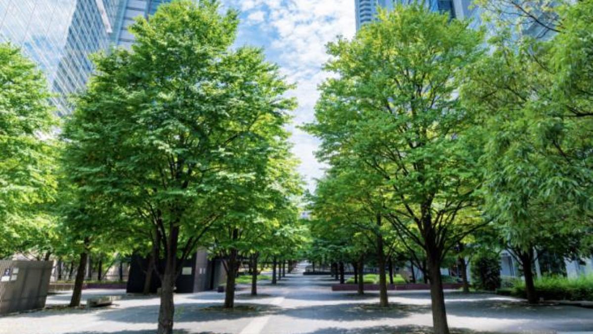 copac-oras-freepik_56015200