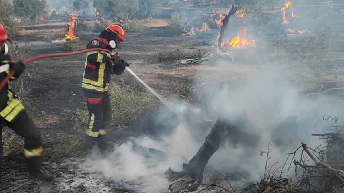 incendiu-puternic-in-grecia4_87083100