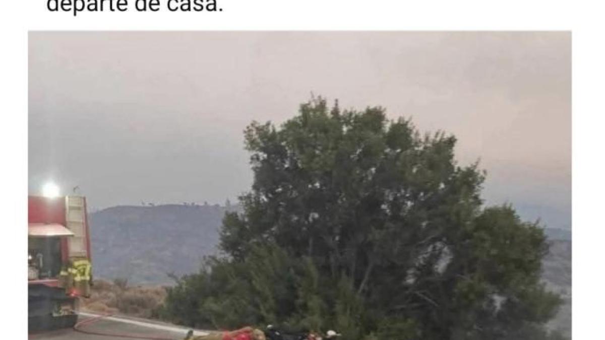 captura-de-ecran-din-2025-08-14-la-16-01-18_69910900